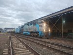 RUMO 9836